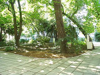 Yard